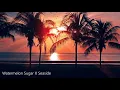 Download Lagu TikTok - Watermelon Sugar X Seaside - 1 hour special