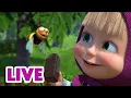 Lagu 🔴 LIVE! Masha dan Beruang 👧🐻 Maukah Kamu Membaginya denganku? 🐝🍫 🎬 Masha and the Bear