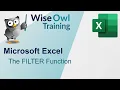 Microsoft Excel - The FILTER Function