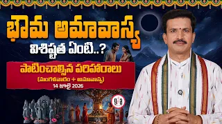 astrologer vakkantha chandramouli