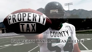 Property Tax Exemptions Abatement and Tax Relief