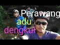 Download Lagu Perawang adu dengkul di tanjakan