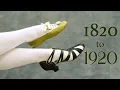 I Have 100 Years of Antique Shoes Fashion Historians Collection