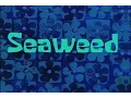 Lagu SpongeBob Production Music Seaweed