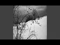 Download Lagu Morbid Desires 1