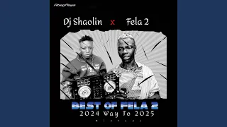 best of fela 2 2024 way to 2025 mixed dj mix 