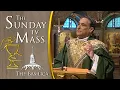 The Sunday Mass - 20th Sunday in Ordinary Time