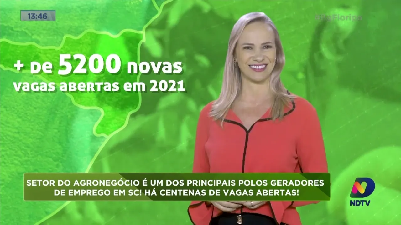 Made in SC: agronegócio é um dos principais geradores de empregos no estado
