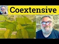 Coextensive Meaning - Coextensive Defined