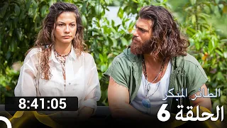 جميع الحلقات من مسلسل الطائر المبكر الموسم 6 Arabic Dubbed 