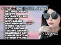 Download Lagu DIAN ANIC DAGANG PINDANG FULL ALBUM