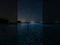 Download Lagu The Sea of Stars: An Annual Bioluminescent Phenomenon part 3
