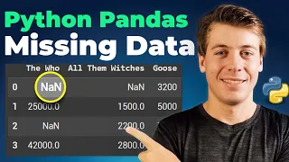 How to Deal With Missing Data In Python Pandas 20 Examples