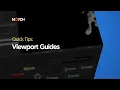 Using the Viewport Guides Notch Quick Tip