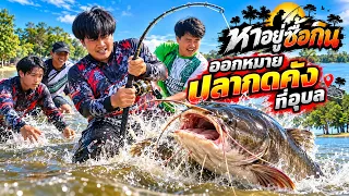 ออกหมายปลากดคังที่ อุบล - หาอยู่ซื้อกิน