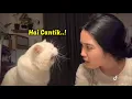Download Lagu MOMEN KETIKA KUCING MERAYU GADIS CANTIK SUARANYA MANJA BANGET ~ Kucing Lucu Bikin Ngakak
