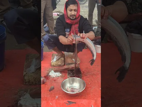 Amazing bigg fish cutting live #fishcuttingskillsvideo