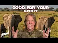 Are You Ready for HUNTING Season TED NUGENT