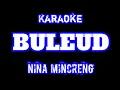 Buleud Karaoke Nina Mincreng Original MANTAP