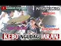 Download Lagu KEBO NGUDAG JARAN ( VOC. DEDDY TUKTUK ) I PUTRA PA'I MUDA FT BOCAH PROXENYOL I DS. BONGAS KRASAK