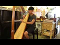 (Secret Garden)Song From A Secret Garden-Harp cover