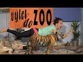 Download Lagu Výlet do ZOO - Jóga pro děti (Jóga s Artánkem)