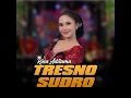 Tresno Sudro (Dangdut Version) - Rina Aditama