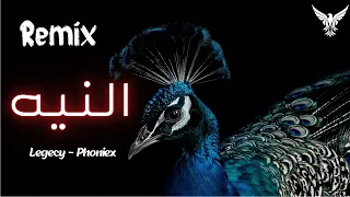 النيه ليجي سي                             دندنها
