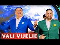 Download Lagu Vali Vijelie \u0026 Baboiash - Masina timpului (Official Video) 2023