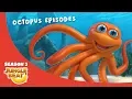 Download Lagu Outstanding Octopus  – JB S3 Animal Compilation #2