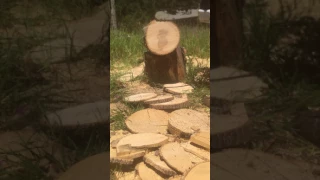 Ope forum buildoff saw-test run