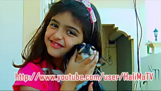 حلا الترك ابيك اليوم       دندنها