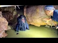 Download Lagu Warga lokal mendadak syok dengan kemunculan mahluk misterius yang hidup dalam goa ini