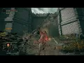 Stone Monkey King slays Godrick the Grafted no hit no summons Elden Ring Cosplay