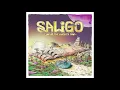 Download Lagu Saligo - Land Of The Ancients Gods (Full Album)