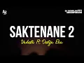 Download Lagu Saktenane 2 - Vadesta Ft. Destya Eka (LIRIK)