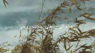 غرام    أصدقا  هل فؤادك يحتويني   اداء   محمد ممدوح الجمال  ناصر السعيد دندنها