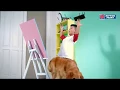 [TVC] NIPPON PAINT | SPOT LESS