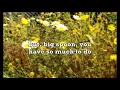 your best american girl by mitski (lyrics)