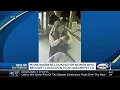 Woman allegedly brings raccoon into Petco in Auburn Maine