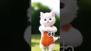 سلمي يا قمر اغنيه باسم سلمي  سلمي يا قمر اغنيه باسم سلمي