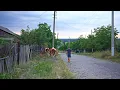 Slow and calm life in small villages of Eastern Europe