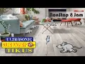 Download Lagu TIKUS TAKUT DENGAN SUARA ULTRASONIC | DIJAMIN TIKUS LANGSUNG KABUR | RUMAH BEBAS TIKUS