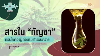 ทีเอสซีในกัญชาทำให้เกิดอาการข้างเคียงอย่างไร