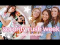 cornell university sorority recruitment greek life cornell
