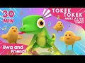 Download Lagu Tokek Tokek, Anak Ayam, dan Lagu Lainnya - 30 Menit Kompilasi Lagu Anak Indonesia