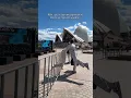 Download Lagu So glad I got to see all the cool sights while in Sydney!!: #short #shorts #markellwashington