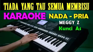 Download HATI YANG LUKA - Meggy Z | KARAOKE Nada Pria MP3