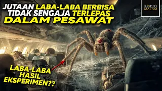 terrifying the plane is filled with poisonous spiders spider on plane 2024 movie plot