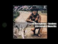 Gordon Lightfoot ~ Sundown 1974 Extended Meow Mix